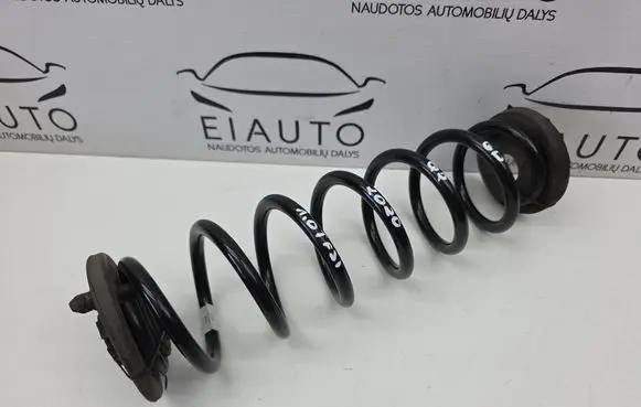 Rear coil spring
