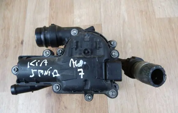 Hyundai Santa Fe Thermostat/thermostat housing 256002M810
