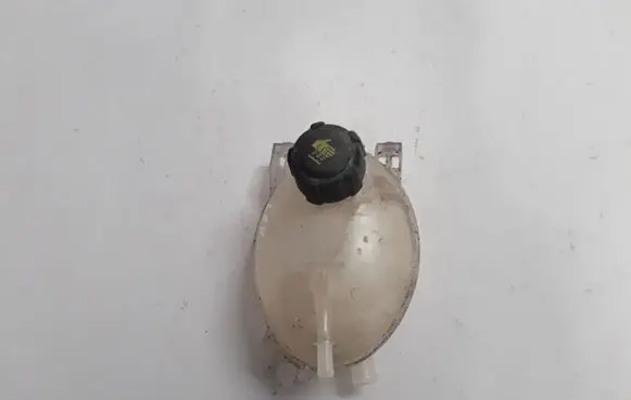 Dacia Dokker Coolant expansion tank/reservoir 217107259R