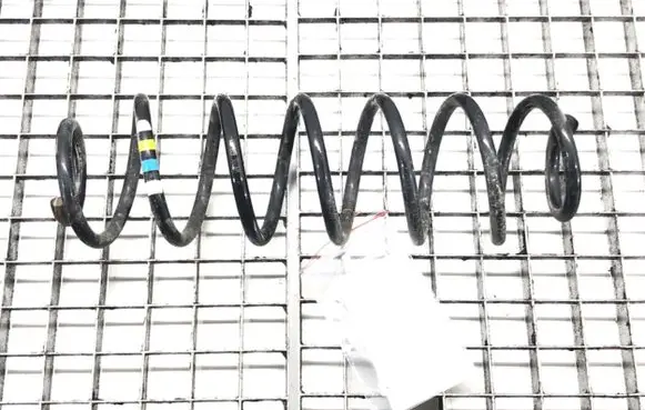 Opel Crossland X Rear coil spring