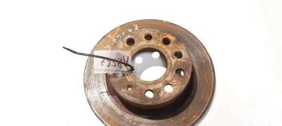 Skoda Octavia Mk2 (1Z) Rear brake disc neventiliuojamas