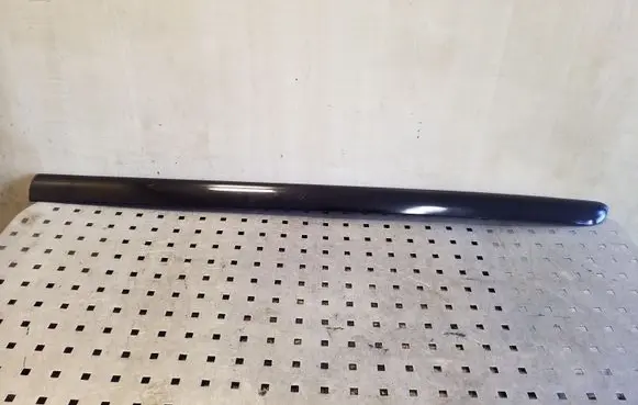 Front door trim (molding)