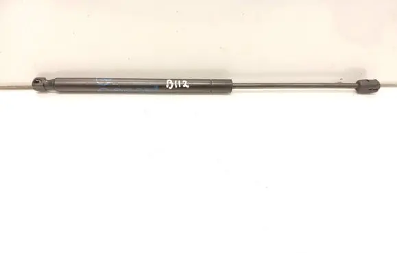 Ford Mustang Mach-E Front bonnet/hood damper/strut LJ8BR16C826AB