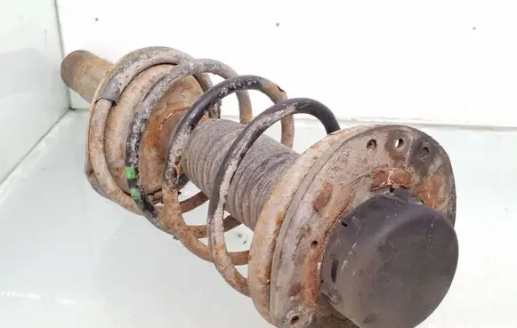 Peugeot 206 Front shock absorber with coil spring