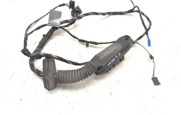 Front door wiring loom