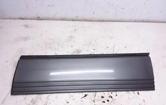 Front door trim (molding)