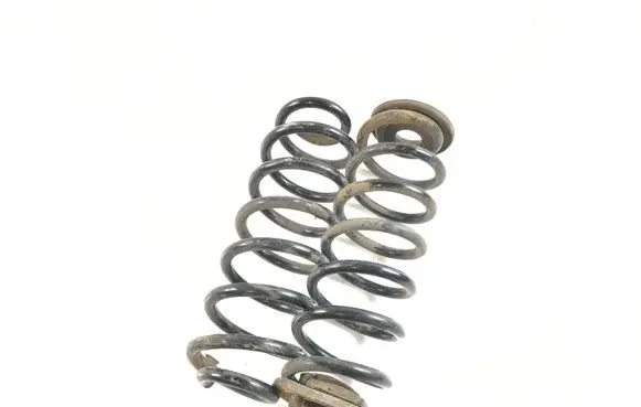 Volkswagen PASSAT B7 Rear coil spring