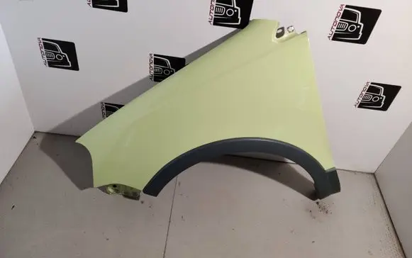 Volkswagen Cross Polo Fender LL6J