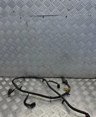 Opel Antara Parking sensor (PDC) wiring loom 96628189