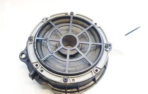 Peugeot 407 Front door speaker 