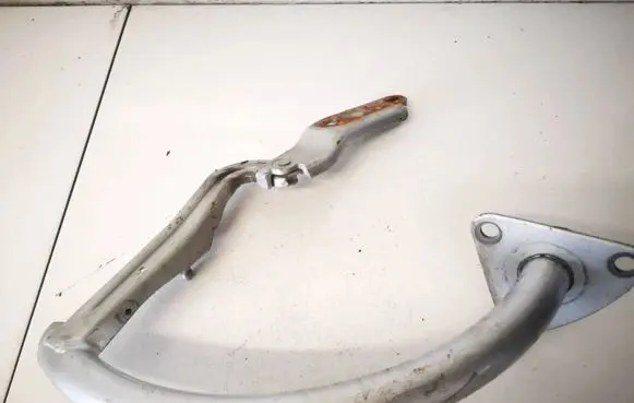 Volkswagen PASSAT B6 Tailgate/trunk/boot hinge 3c5827301b