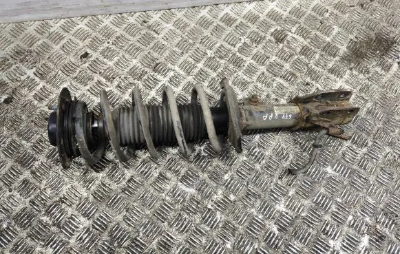 Opel Antara Front shock absorber/damper