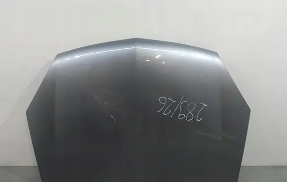 Opel Signum Engine bonnet/hood 