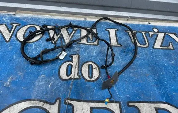 Other wiring loom