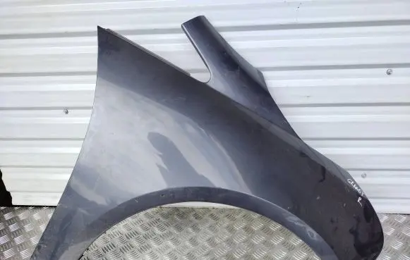 Mitsubishi Grandis Fender