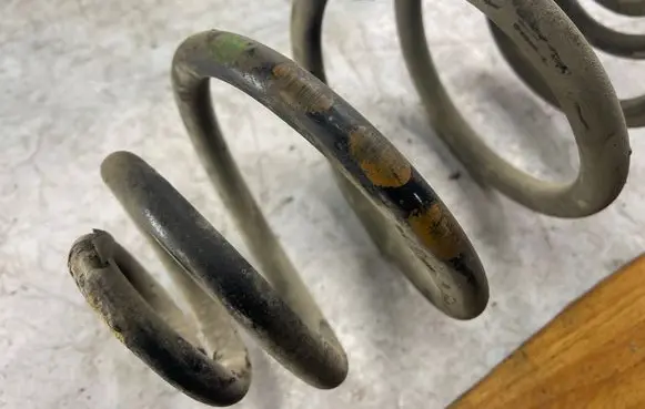 Volkswagen PASSAT B5 Rear coil spring