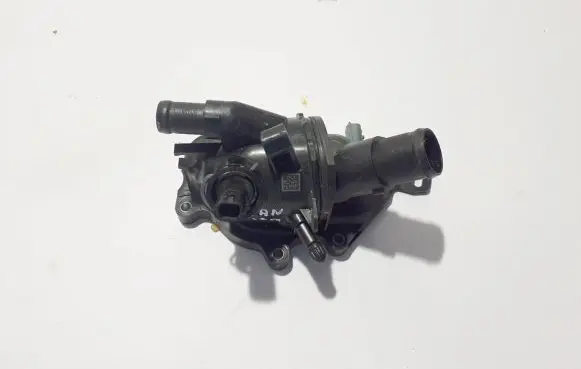 Thermostat/thermostat housing