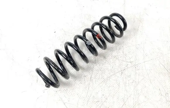 Toyota RAV 4 (XA50) Rear coil spring