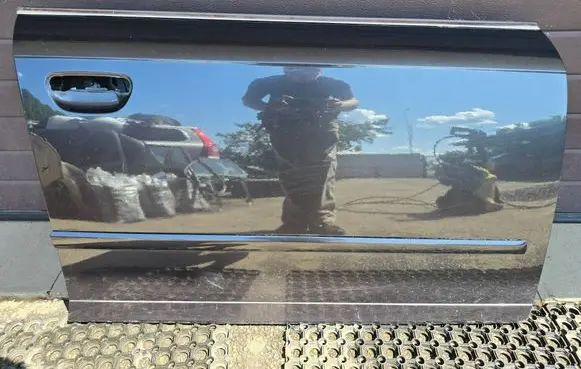 Audi A4 S4 B7 8E 8H Front door