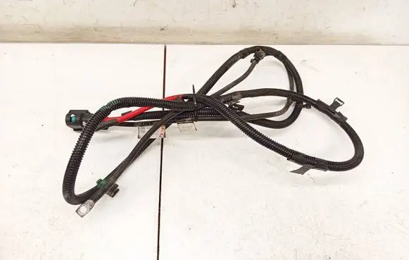 Tesla Model S Other wiring loom 101130100C