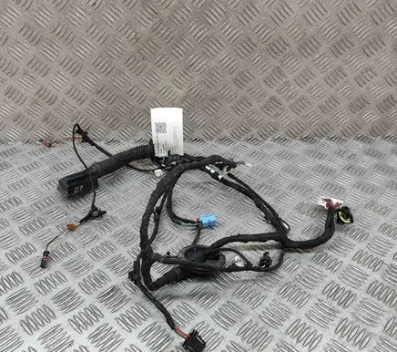 Audi A5 Front door wiring loom 8W8971030G