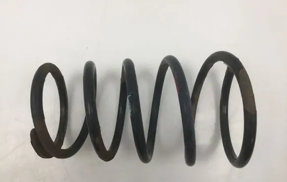 Rear coil spring