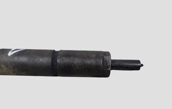 Citroen C4 I Fuel injector 0445110188 892080