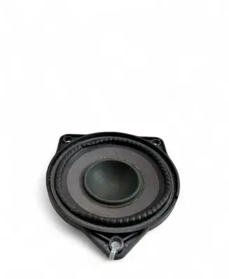 Front door speaker