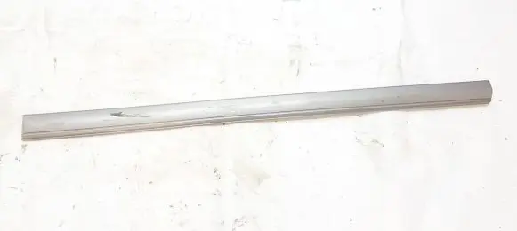 Front door trim (molding)