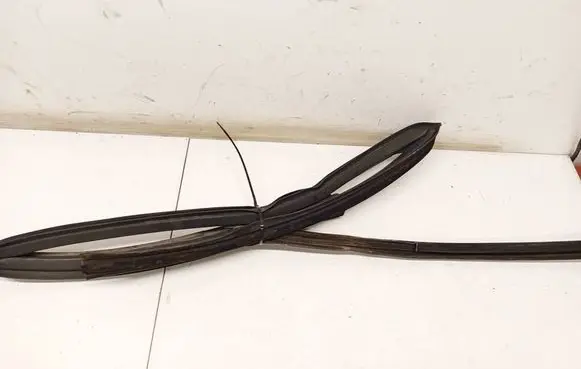 Citroen C5 Rubber seal front coupe door 
