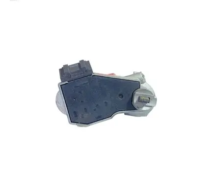 Steering wheel lock
