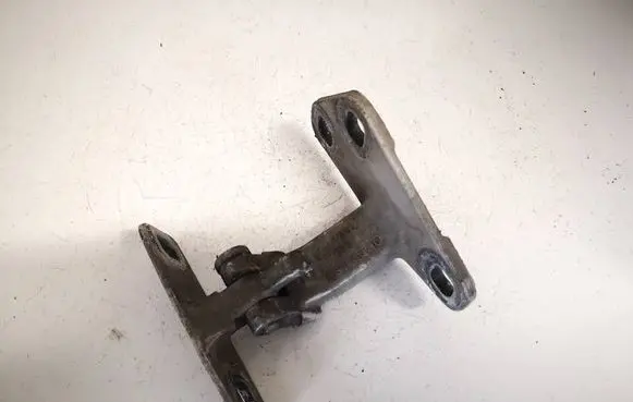 BMW X5 E53 Rear door lower hinge 8402163