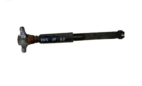 Hyundai Ioniq Rear shock absorber/damper 55300G7000