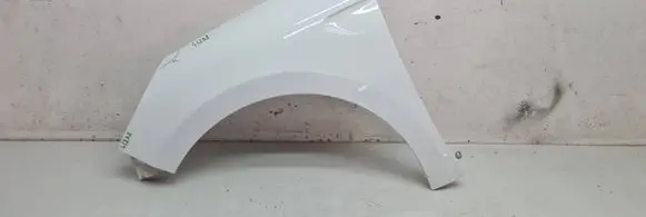 Renault Clio V Fender 625616679R