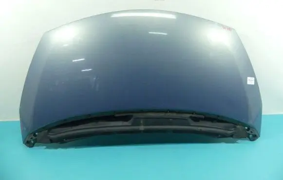Engine bonnet/hood