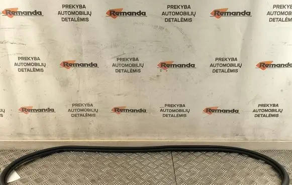 Rear door rubber seal (on body)