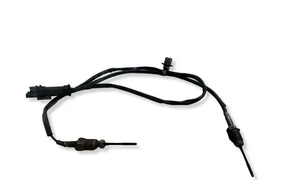 Citroen C3 Aircross Exhaust gas temperature sensor 981366480