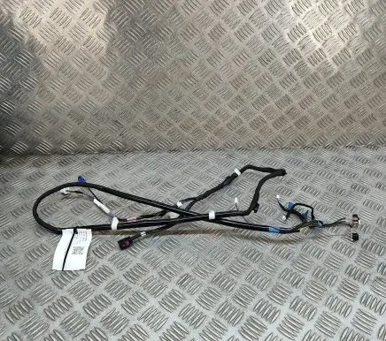Tesla Model Y Other wiring loom 161669103D