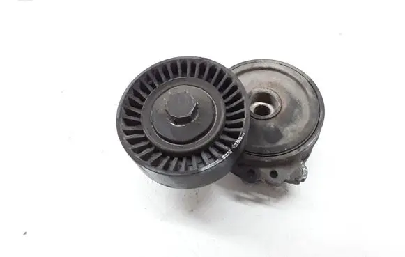 Citroen C8 Generator/alternator belt tensioner