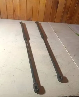Tailgate strut