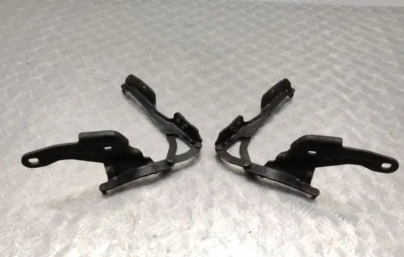 BMW Z4 E89 Tailgate/trunk/boot hinge 