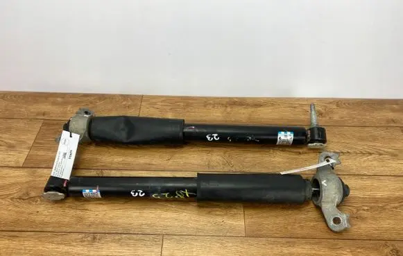 Ford Explorer VI Rear shock absorber/damper LB5C-18W002-BF