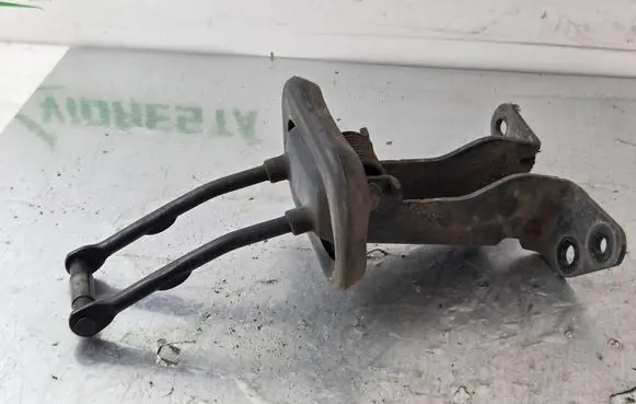 Rear door check strap stopper