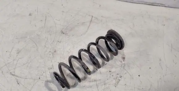 Seat Leon (1P) Rear coil spring