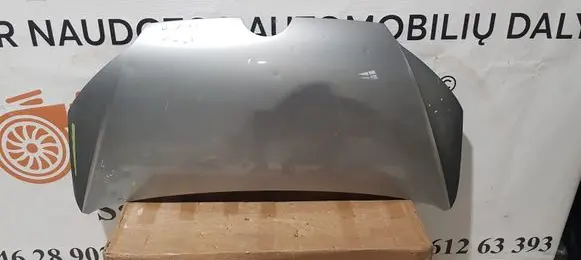 Engine bonnet/hood