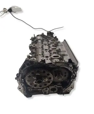Renault Trafic III (X82) Engine head 110422959R