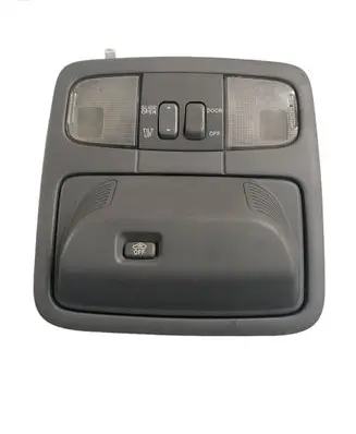 Opel Signum Front seat light