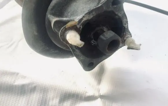 Coil spring mount