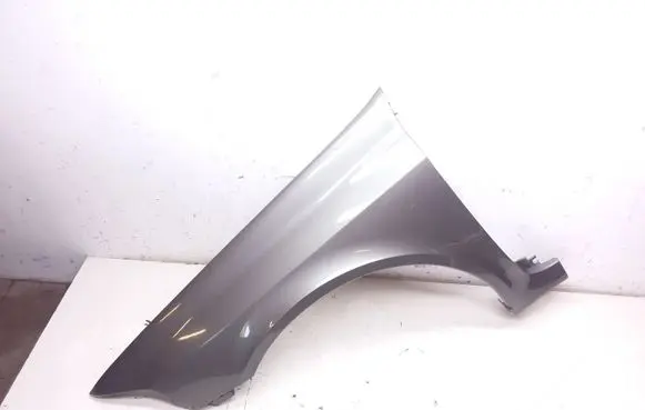 Renault Laguna II Fender
