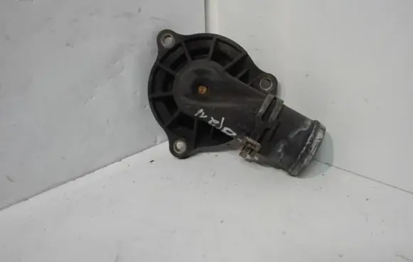 Thermostat/thermostat housing